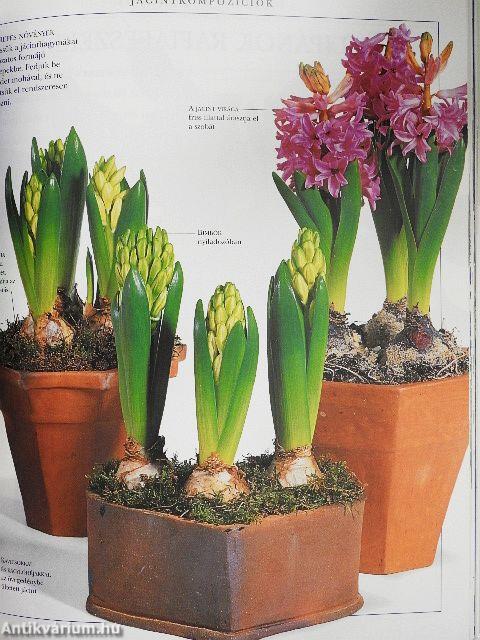 Virágcsokrok villámgyorsan