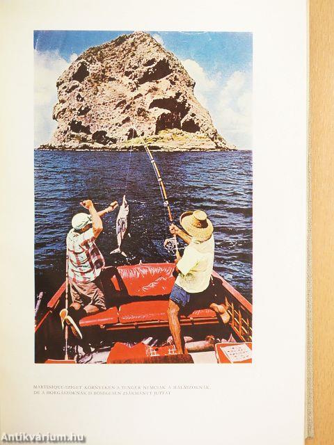 Közép- és Dél-Amerika