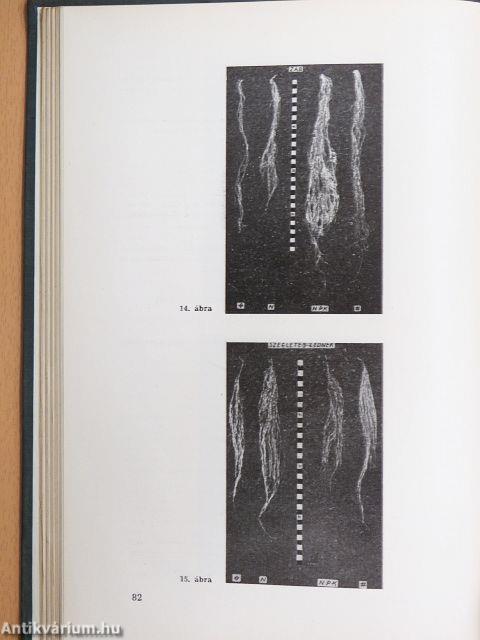 Talajerőgazdálkodás