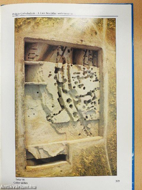 A Nyíregyházi Jósa András Múzeum évkönyve XXXVI.