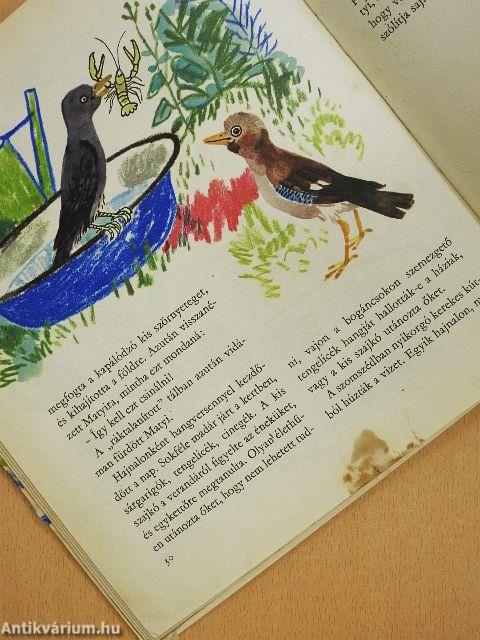 Pajtások a házban és a ház körül