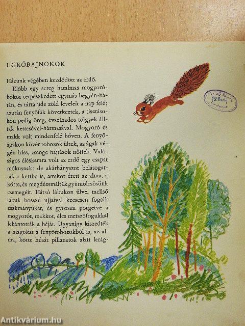 Pajtások a házban és a ház körül