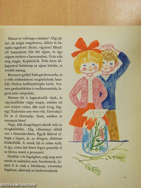 Pajtások a házban és a ház körül