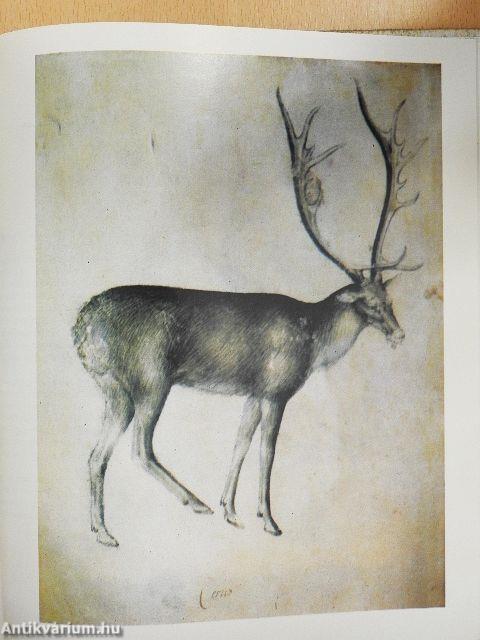 Az internacionális gótika festészete