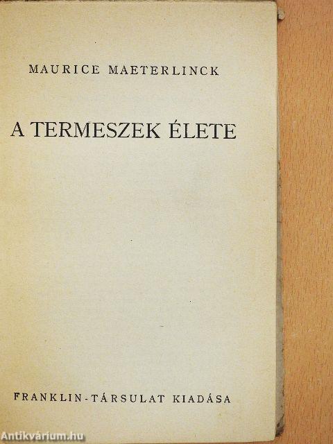A termeszek élete