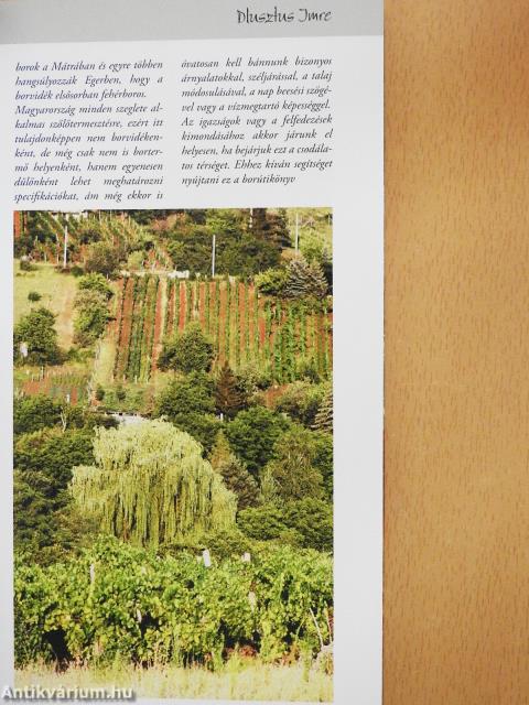 Meglelé borát - Eger Borrégió (dedikált példány)