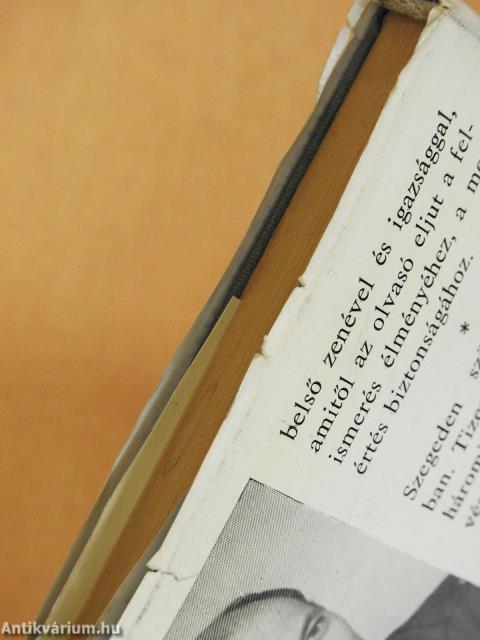 Lármafa (dedikált példány)