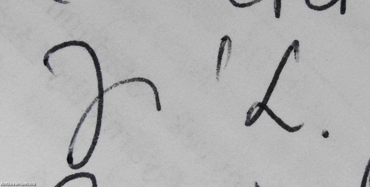 TSO - Az egymásmellettiség esete (dedikált példány)