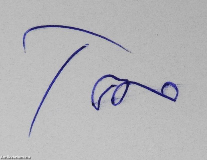 Ica néném elátkozott boldogsága (dedikált példány)