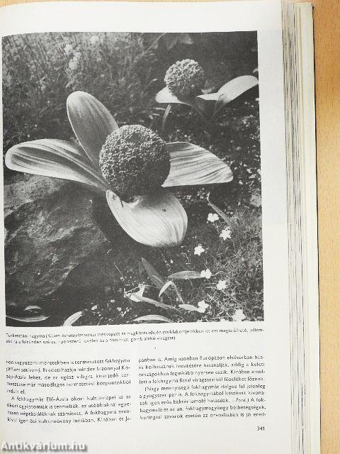 Urania Növényvilág - Magasabbrendű növények II.