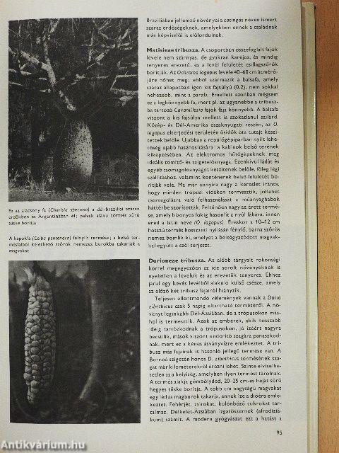 Urania Növényvilág - Magasabbrendű növények II.