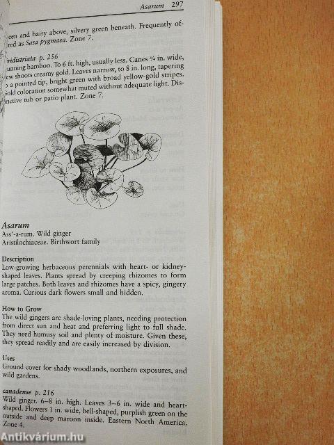 Taylor's Guide to Shade Gardening