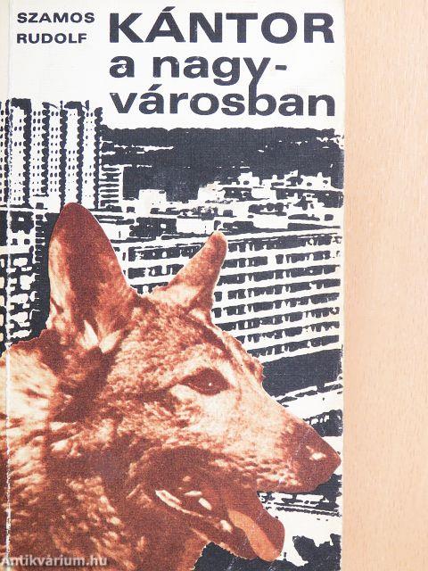 Kántor a nagyvárosban