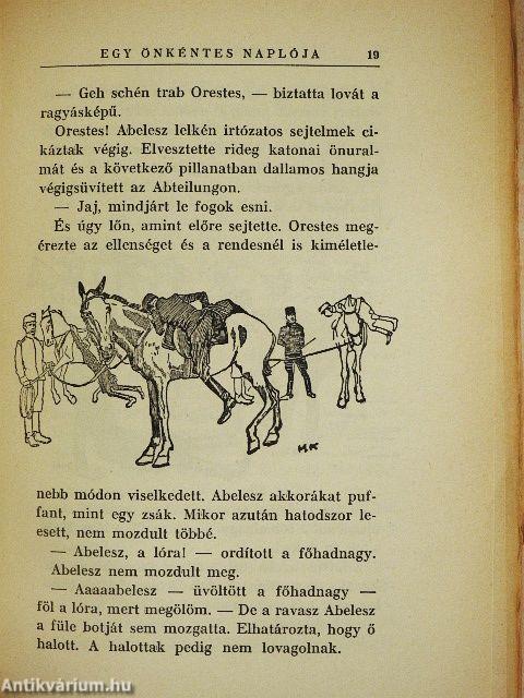 Egy önkéntes naplója