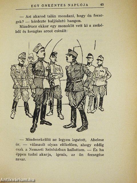 Egy önkéntes naplója