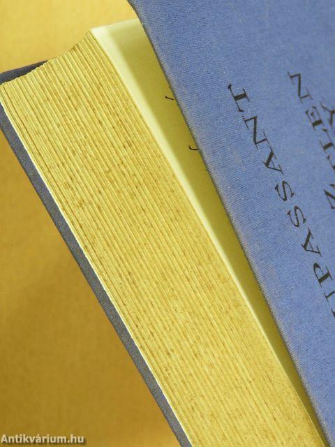 Az ismeretlen asszony