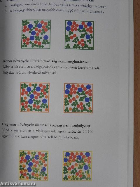 Ökologikus zöldfelületek városi alkalmazása