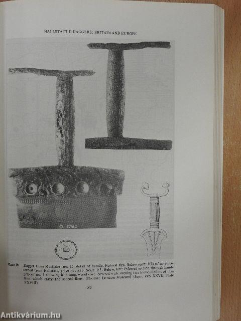 Bulletin of the Institute of Archaeology