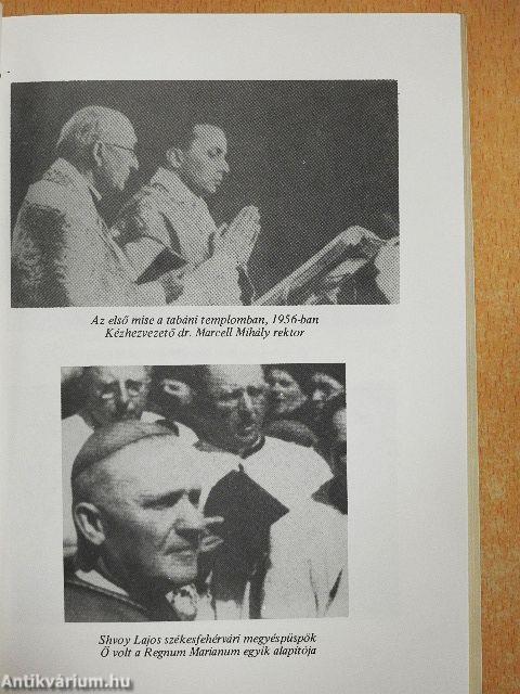 Értetek és miattatok