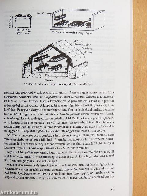 Gomba feldolgozása, tartósítása