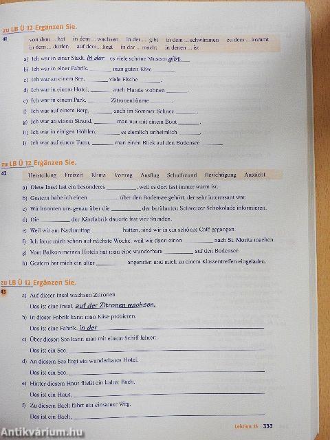 Delfin munkafüzet 2.