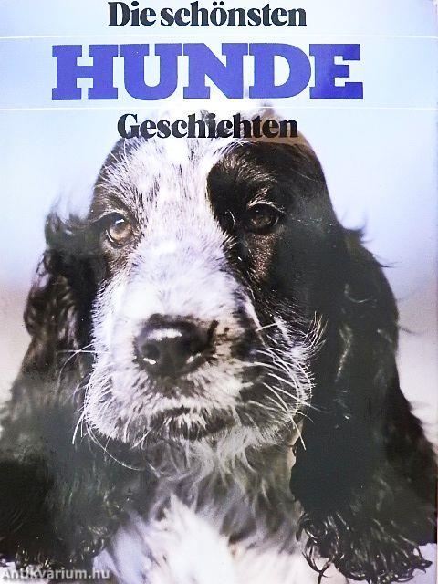 Die schönsten Hunde Geschichten
