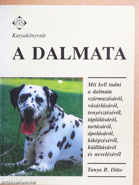 A dalmata