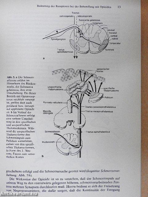 Analgesie und Sedierung in der Intensivmedizin