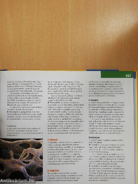 Egészséges csontok, izmok és ízületek