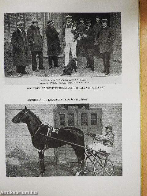 Százéves a magyar ügetőversenyzés