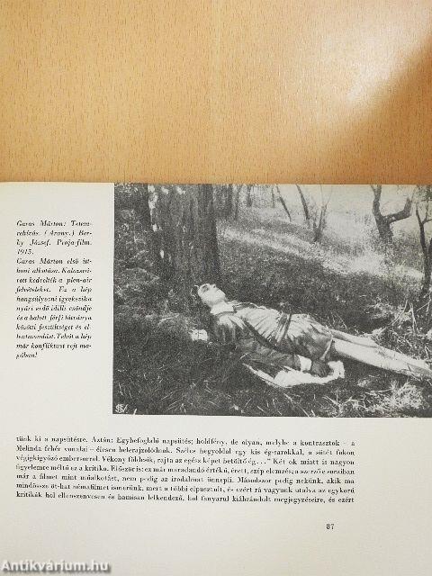 A mozgóképtől a filmművészetig