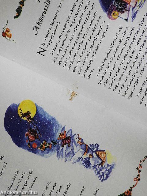 Karácsonyi olvasókönyv