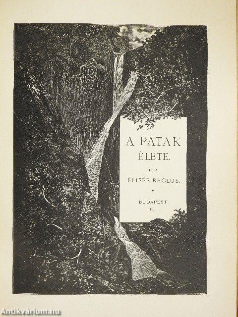 A patak élete