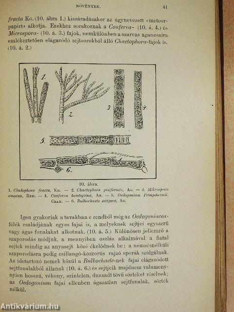 A magyarországi tavak halainak természetes tápláléka