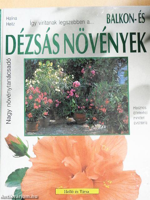 Így zöldellnek és virítanak legszebben a balkon- és dézsás növények