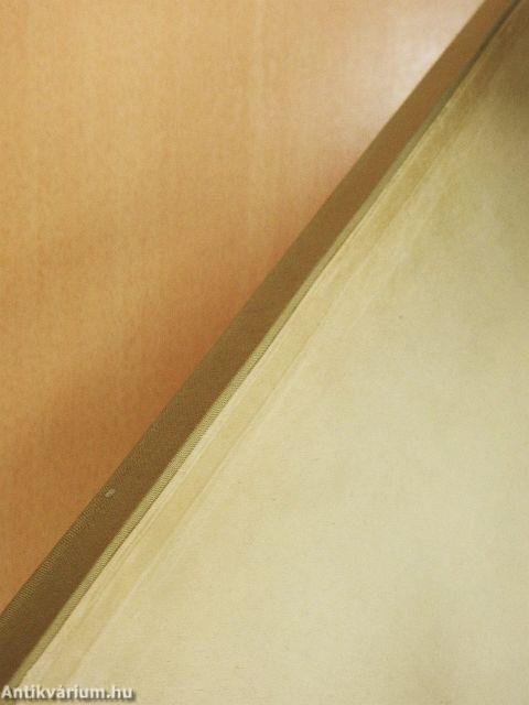 A vezetés és igazgatás korszerű tudományos megalapozása és a vezetőképzés gyakorlata