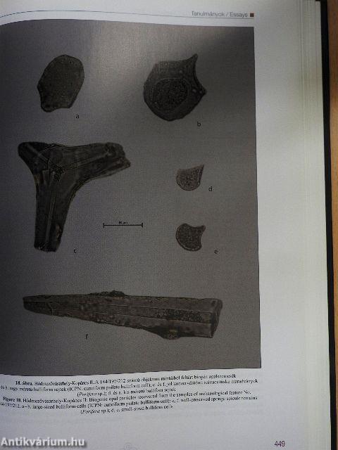 Évkönyv és jelentés a K.Ö.SZ. 2009. évi feltárásairól