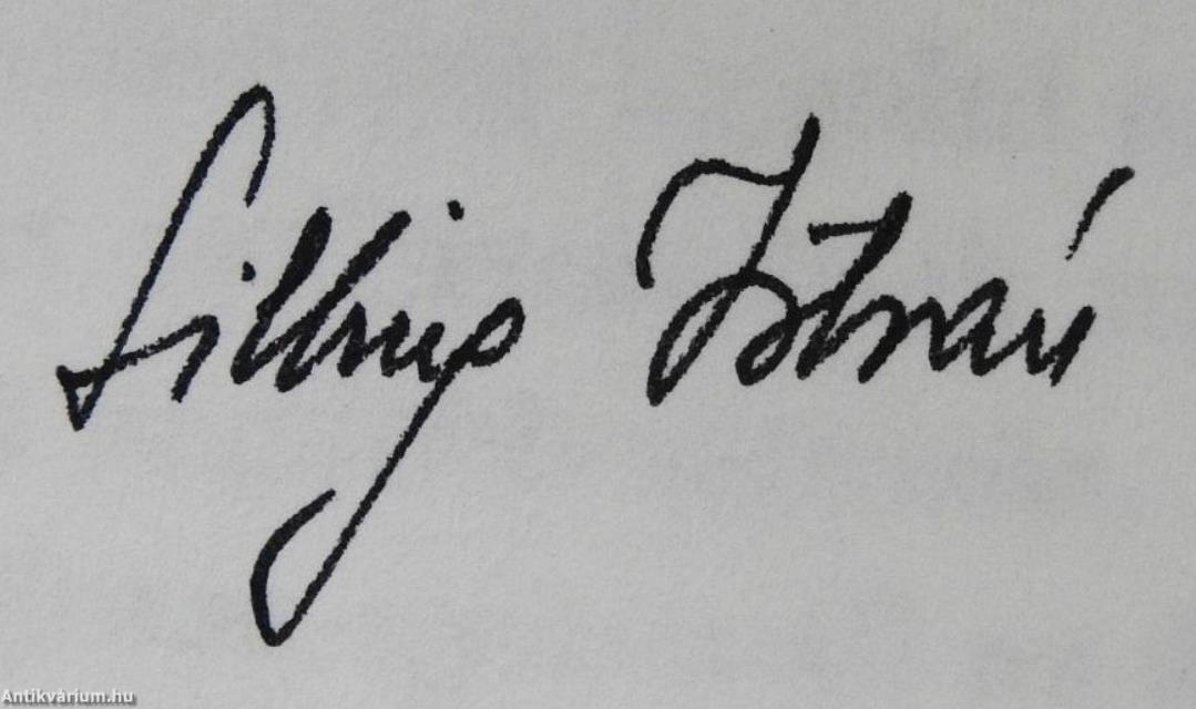 Boldogasszony ablakában (dedikált példány)