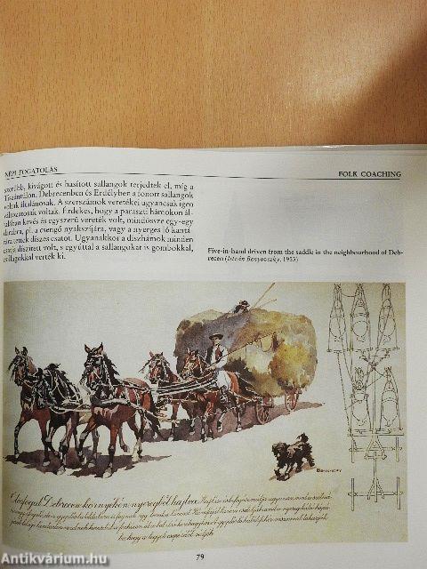 Régi magyar fogatok