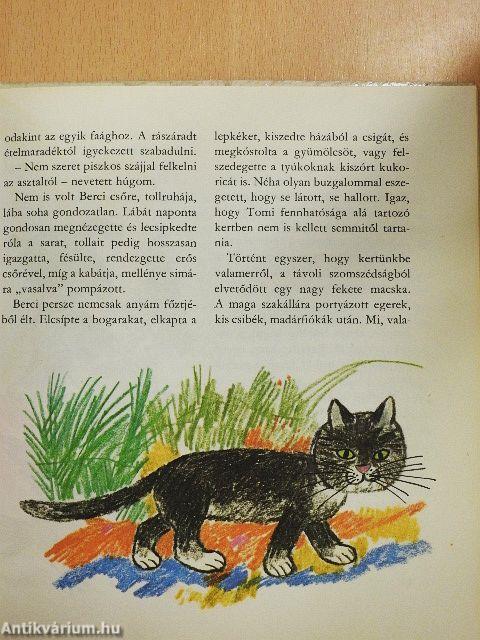 Ali csacsi és a többiek