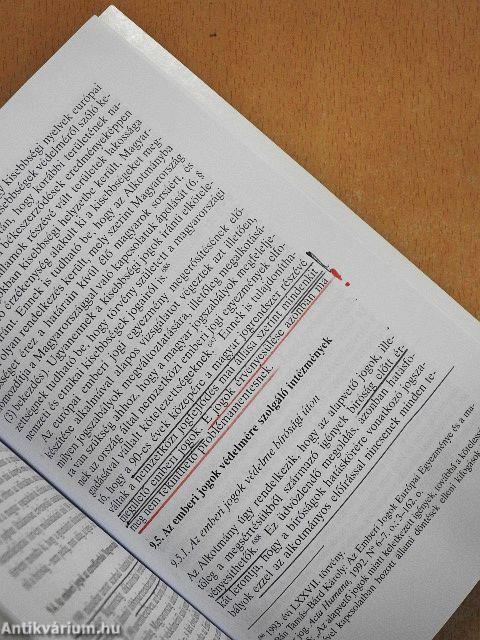 Nemzetközi emberi jogok