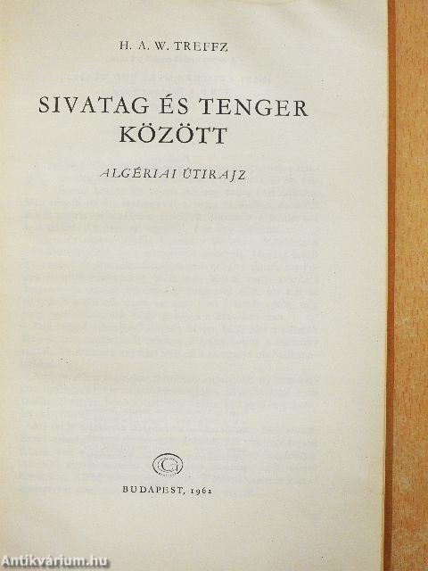 Sivatag és tenger között