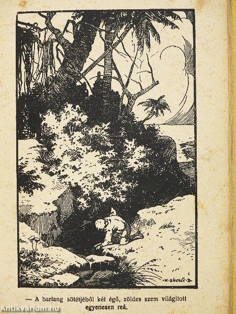 Robinson Crusoe kalandjai