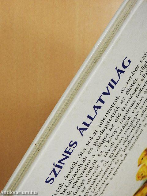 Színes állatvilág