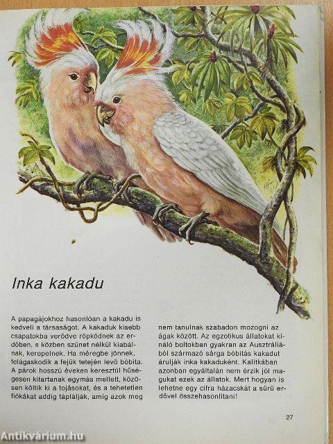 Színes állatvilág