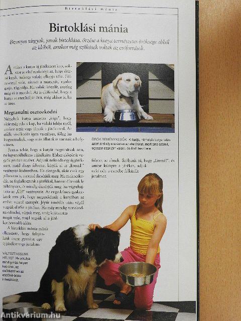 Kutyabarátok kézikönyve