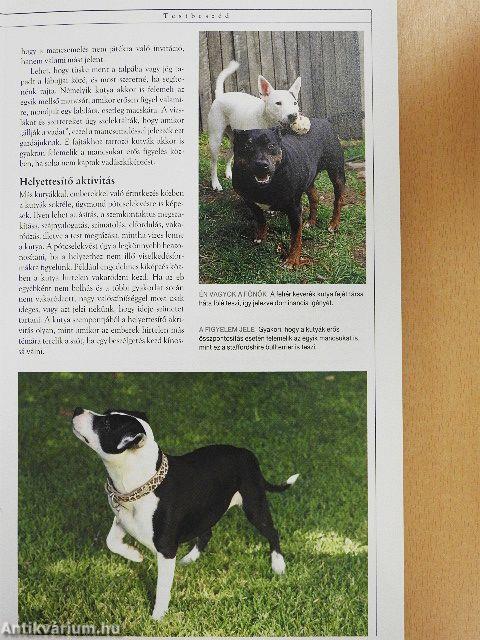 Kutyabarátok kézikönyve