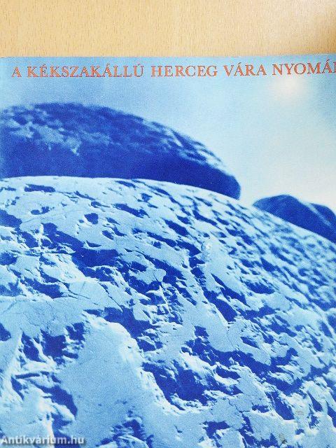 A kékszakállú herceg vára nyomán