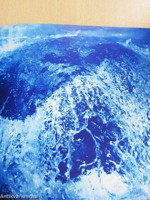 A kékszakállú herceg vára nyomán