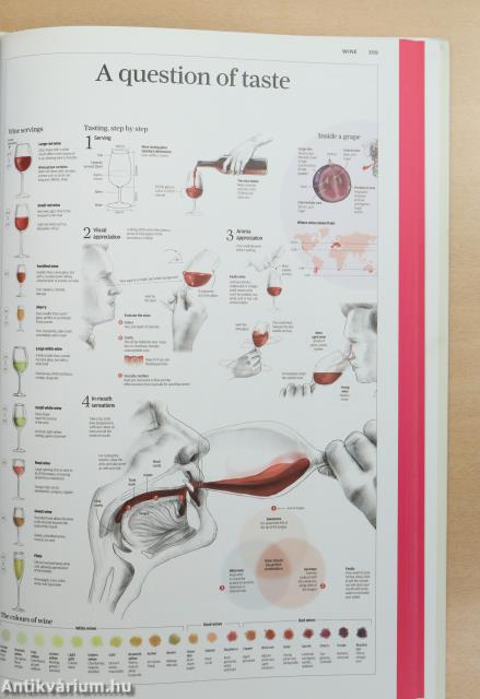 Food & Drink Infographics